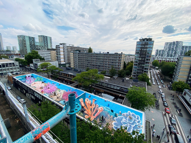 OpenGraph image for photo.cate.blog/2022/06/rdam-%f0%9f%87%b3%f0%9f%87%b1/