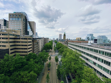 OpenGraph image for photo.cate.blog/2022/06/rooftops-in-rdam-%f0%9f%87%b3%f0%9f%87%b1/