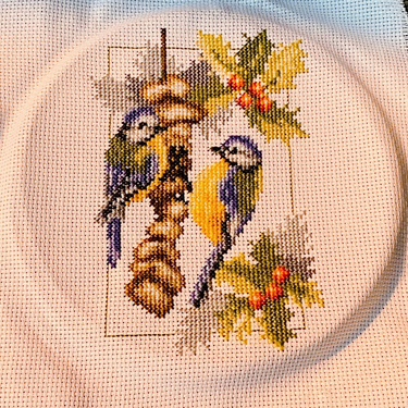 OpenGraph image for photo.cate.blog/2022/06/winter-birds-%f0%9f%a7%b5%f0%9f%aa%a1/