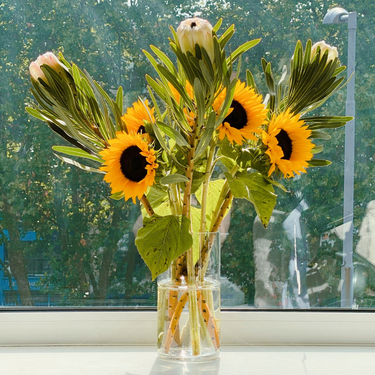 OpenGraph image for photo.cate.blog/2022/07/%f0%9f%8c%bb-5/