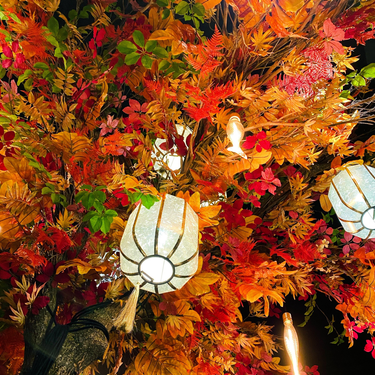 OpenGraph image for photo.cate.blog/2022/07/%f0%9f%8d%81-2/