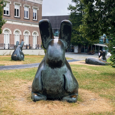 OpenGraph image for photo.cate.blog/2022/07/%f0%9f%90%b0-2/