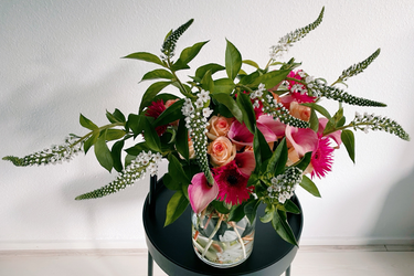 OpenGraph image for photo.cate.blog/2022/07/%f0%9f%92%90-29/