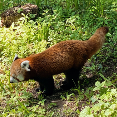 OpenGraph image for photo.cate.blog/2022/07/%f0%9f%98%8d-3/