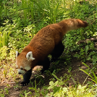 OpenGraph image for photo.cate.blog/2022/07/%f0%9f%98%8d-4/