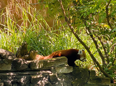 OpenGraph image for photo.cate.blog/2022/07/%f0%9f%a5%b0-2/