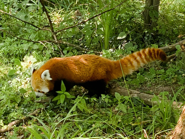 OpenGraph image for photo.cate.blog/2022/07/bounce-bounce/