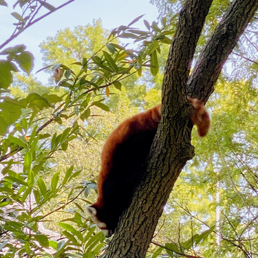 OpenGraph image for photo.cate.blog/2022/07/climbing/