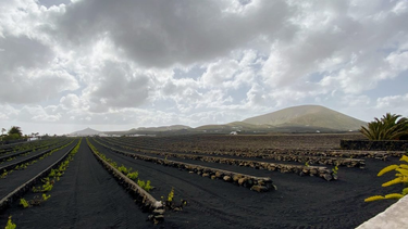 OpenGraph image for photo.cate.blog/2022/08/%f0%9f%8c%8b-3/