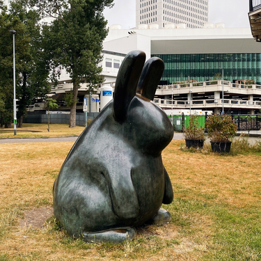 OpenGraph image for photo.cate.blog/2022/08/%f0%9f%90%b0-3/