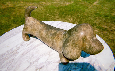 OpenGraph image for photo.cate.blog/2022/08/%f0%9f%90%b6/