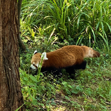 OpenGraph image for photo.cate.blog/2022/08/%f0%9f%92%96-2/