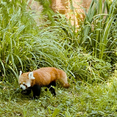 OpenGraph image for photo.cate.blog/2022/08/%f0%9f%98%8d-5/