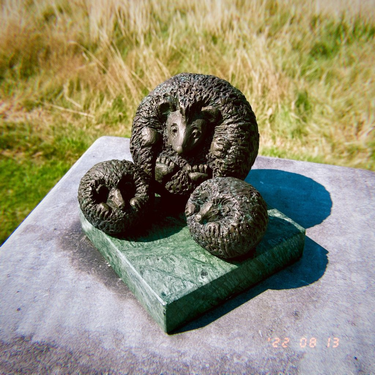 OpenGraph image for photo.cate.blog/2022/08/%f0%9f%a6%94/