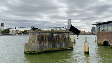 OpenGraph image for photo.cate.blog/2022/08/dont-fall/