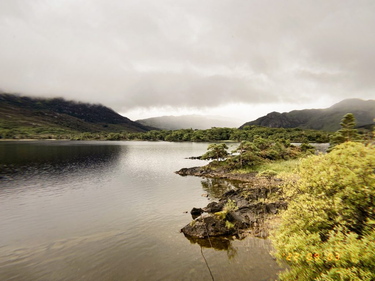 OpenGraph image for photo.cate.blog/2022/09/%f0%9f%8c%a7-2/