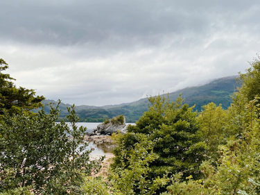 OpenGraph image for photo.cate.blog/2022/09/%f0%9f%8c%a7-3/