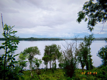 OpenGraph image for photo.cate.blog/2022/09/%f0%9f%8c%b3-28/