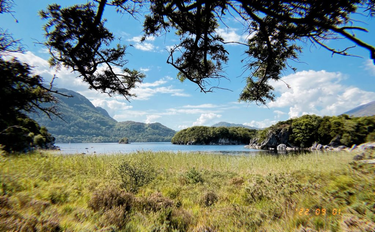 OpenGraph image for photo.cate.blog/2022/09/%f0%9f%8c%b3-29/