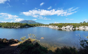 OpenGraph image for photo.cate.blog/2022/09/beautiful-day-%e2%98%80%ef%b8%8f-3/