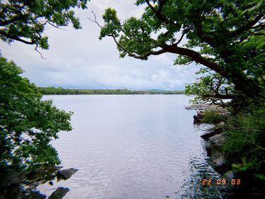 OpenGraph image for photo.cate.blog/2022/09/peaceful-%f0%9f%8c%b3%f0%9f%87%ae%f0%9f%87%aa/