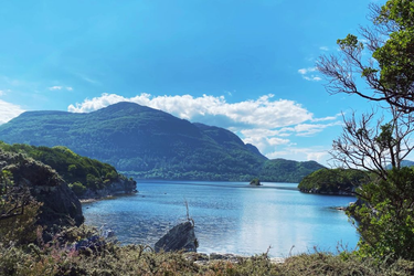 OpenGraph image for photo.cate.blog/2022/11/%e2%98%80%ef%b8%8f-19/