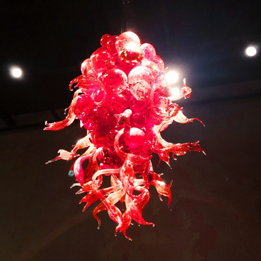 OpenGraph image for photo.cate.blog/2022/11/%f0%9f%90%99-2/