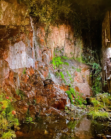 OpenGraph image for photo.cate.blog/2022/11/waterfall-2/