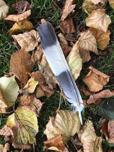 OpenGraph image for photographworks.me/2017/10/10/testing-the-media-picker/