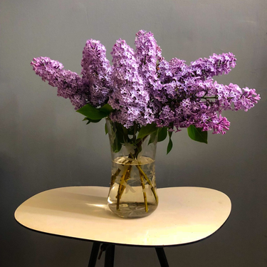 OpenGraph image for photos.nwalsh.com/images/ndw/2018/05/22/IMG_20180522_084145-1