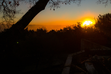 OpenGraph image for photos.nwalsh.com/images/ndw/2019/01/05/IMG_20190105_073534