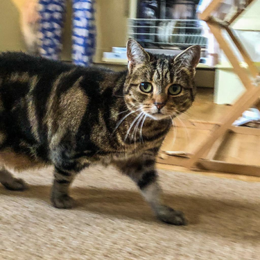 OpenGraph image for photos.nwalsh.com/images/ndw/2019/11/16/IMG_20191116_100019