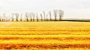 OpenGraph image for photos.nwalsh.com/images/ndw/2019/11/17/IMG_20191117_130828