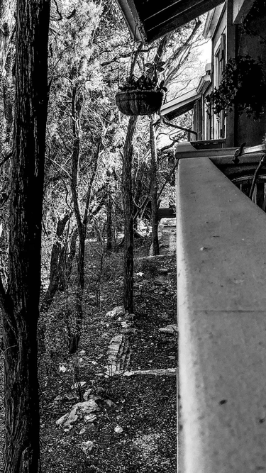 OpenGraph image for photos.nwalsh.com/images/ndw/2020/02/02/IMG_20200202_133118