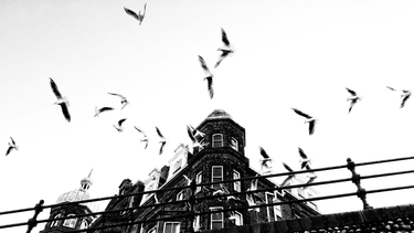 OpenGraph image for photos.nwalsh.com/images/ndw/2020/02/07/IMG_20200207_144344