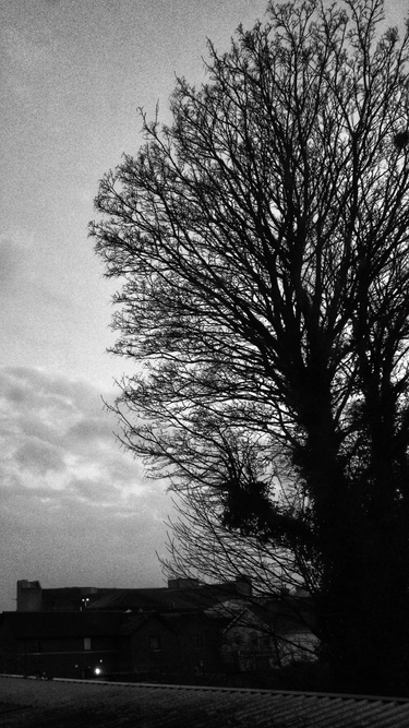 OpenGraph image for photos.nwalsh.com/images/ndw/2020/02/09/IMG_20200209_173241