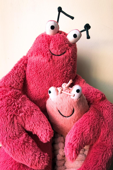 OpenGraph image for photos.nwalsh.com/images/ndw/2020/02/27/IMG_20200227_112314