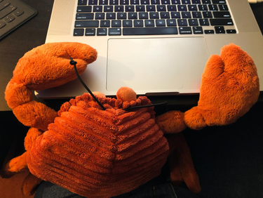 OpenGraph image for photos.nwalsh.com/images/ndw/2020/03/23/IMG_20200323_182114