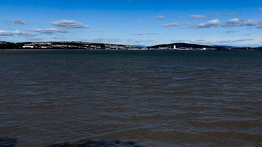 OpenGraph image for photos.nwalsh.com/images/ndw/2020/09/26/IMG_20200926_143108