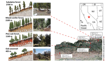 OpenGraph image for phys.org/news/2022-08-drought-microbe-laden-sierras.html