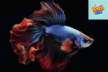 OpenGraph image for pock.dev/