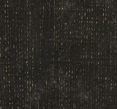 OpenGraph image for publicdomainreview.org/essay/black-on-black/