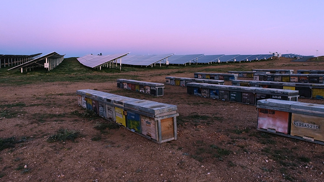 Preview image for: Spain, France Lead Renewables Growth Without Harm