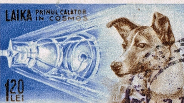 OpenGraph image for qz.com/1119003/a-stray-dog-became-the-worlds-first-cosmonaut-60-years-ago-today/