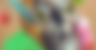 OpenGraph image for reallifemag.com/dispatches/the-house-we-live-in/