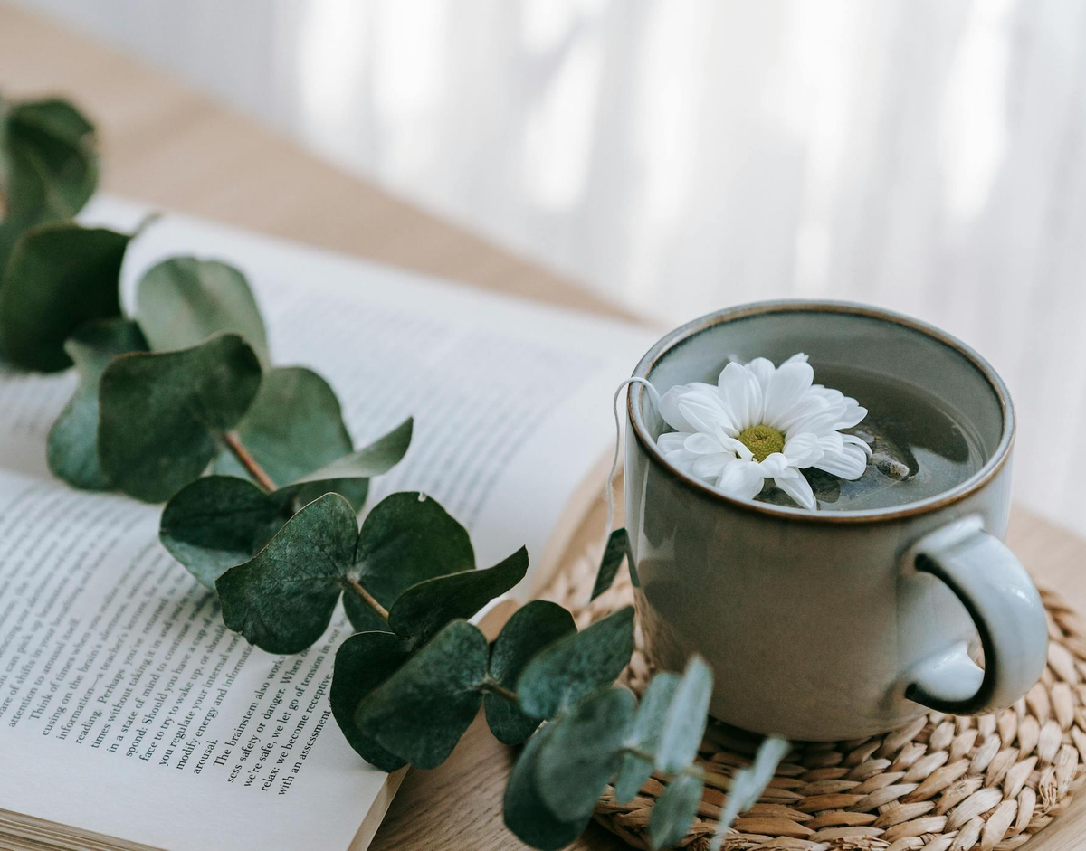 Herbs To Support Your Menstrual Cycle, Not Just Your Period