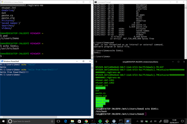 OpenGraph image for remysharp.com/2017/06/26/windows-10-bashing