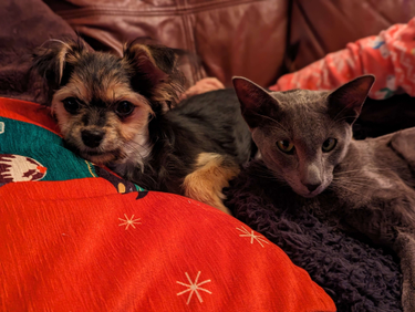 OpenGraph image for remysharp.com/2023/12/31/my-2023