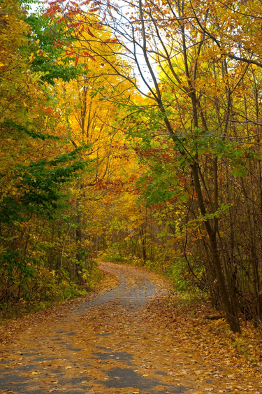 OpenGraph image for ryancaldbeck.medium.com/transitions-fa7ce4af435