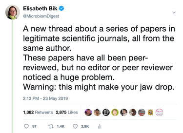 OpenGraph image for scienceintegritydigest.com/2019/05/24/external-qi/